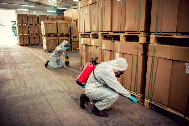 Best Affordable Pest Control Services  in Loch Lomond, VA
