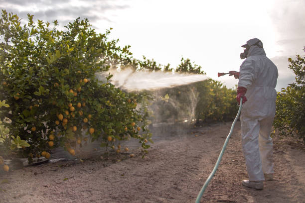 Best Pest Removal Services  in Loch Lomond, VA
