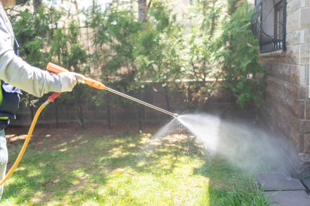 Best Wasp Removal Services  in Loch Lomond, VA