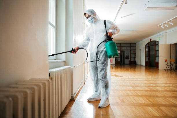 Best Ant Control Services  in Loch Lomond, VA