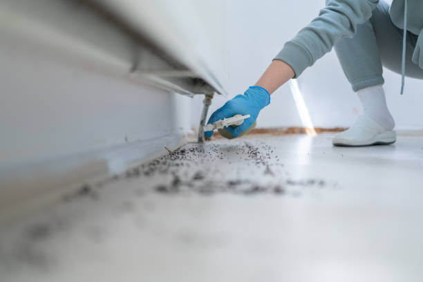 Best Best Pest Control Companies  in Loch Lomond, VA