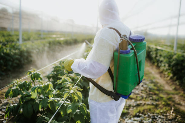 Best Mosquito Control Services  in Loch Lomond, VA
